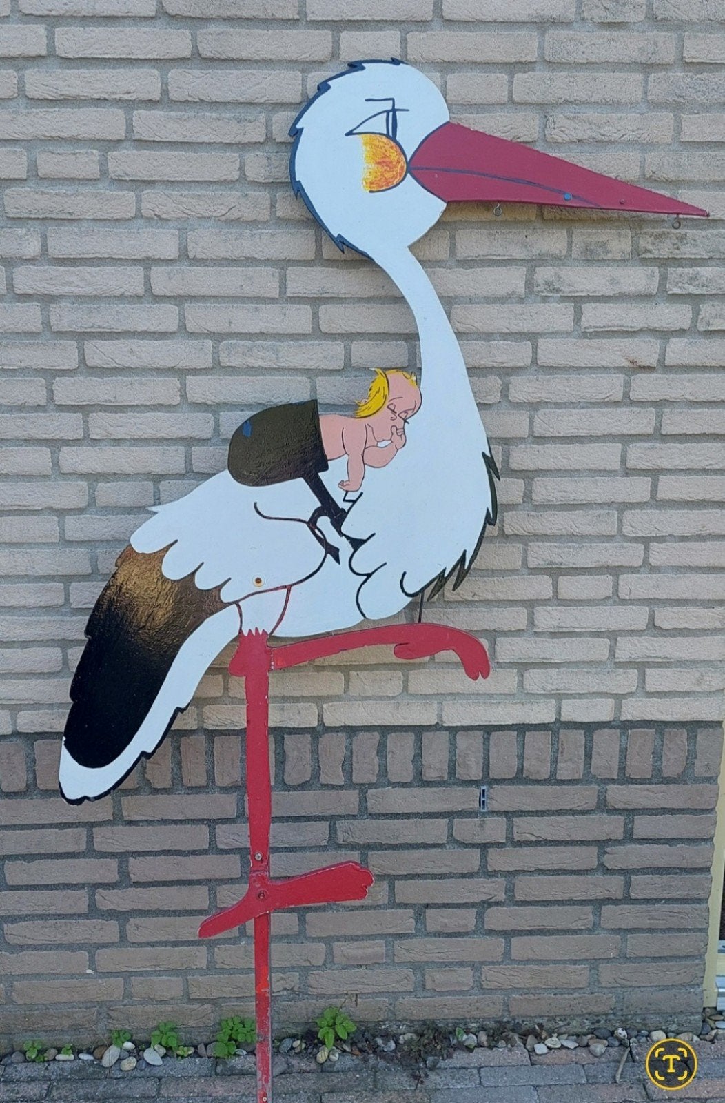 ooievaar, geboorte ooievaar te koop of te huur, Ophalen