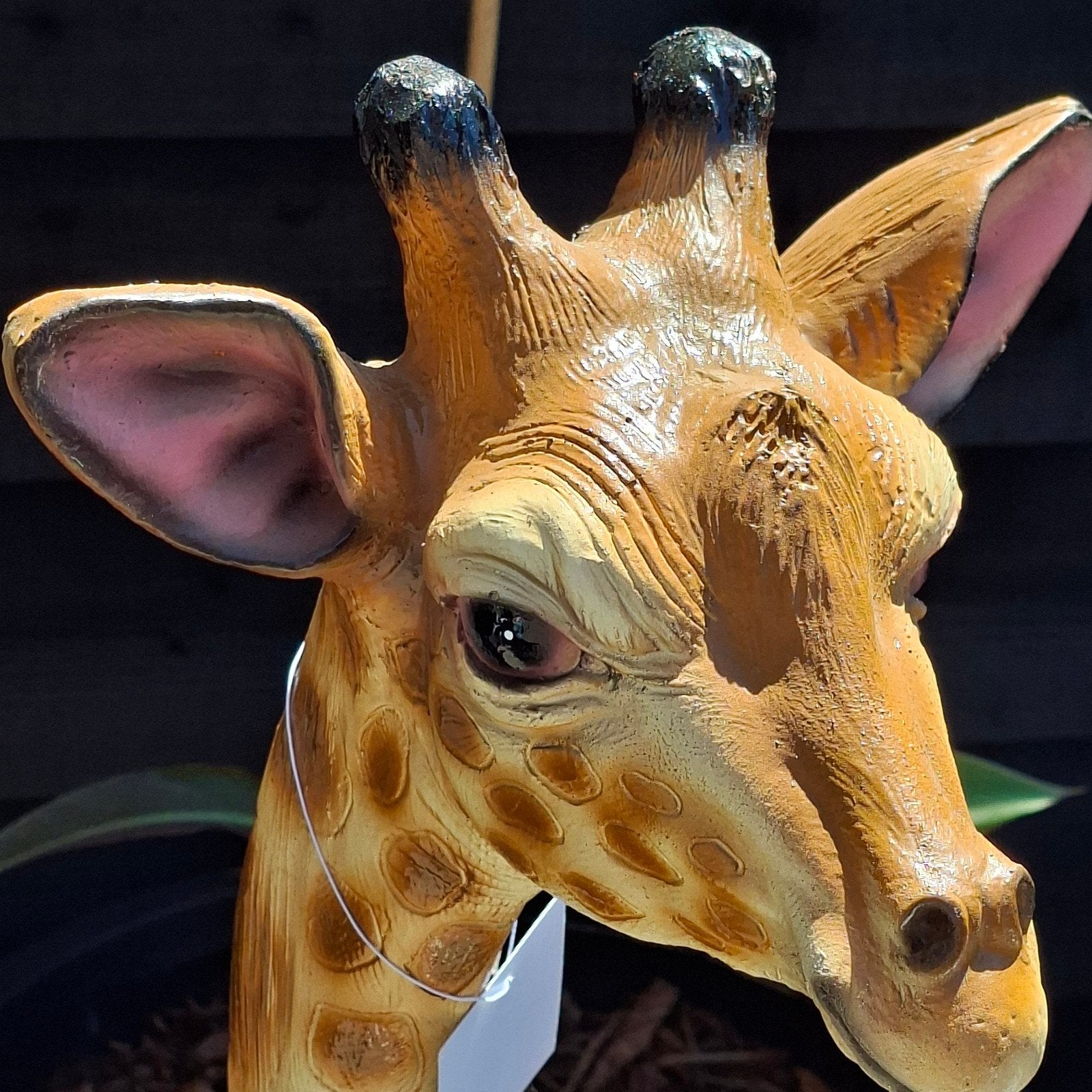 Xxxl giraffe beeld tuinbeeld nieuw, Ophalen, Nieuw, Kunststof