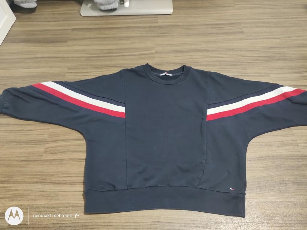 Dames Trui Tommy Hilfiger Maat L, Kleding | Dames, Blauw, Maat 42/44 (L), Ophalen of Verzenden, Zo goed als nieuw