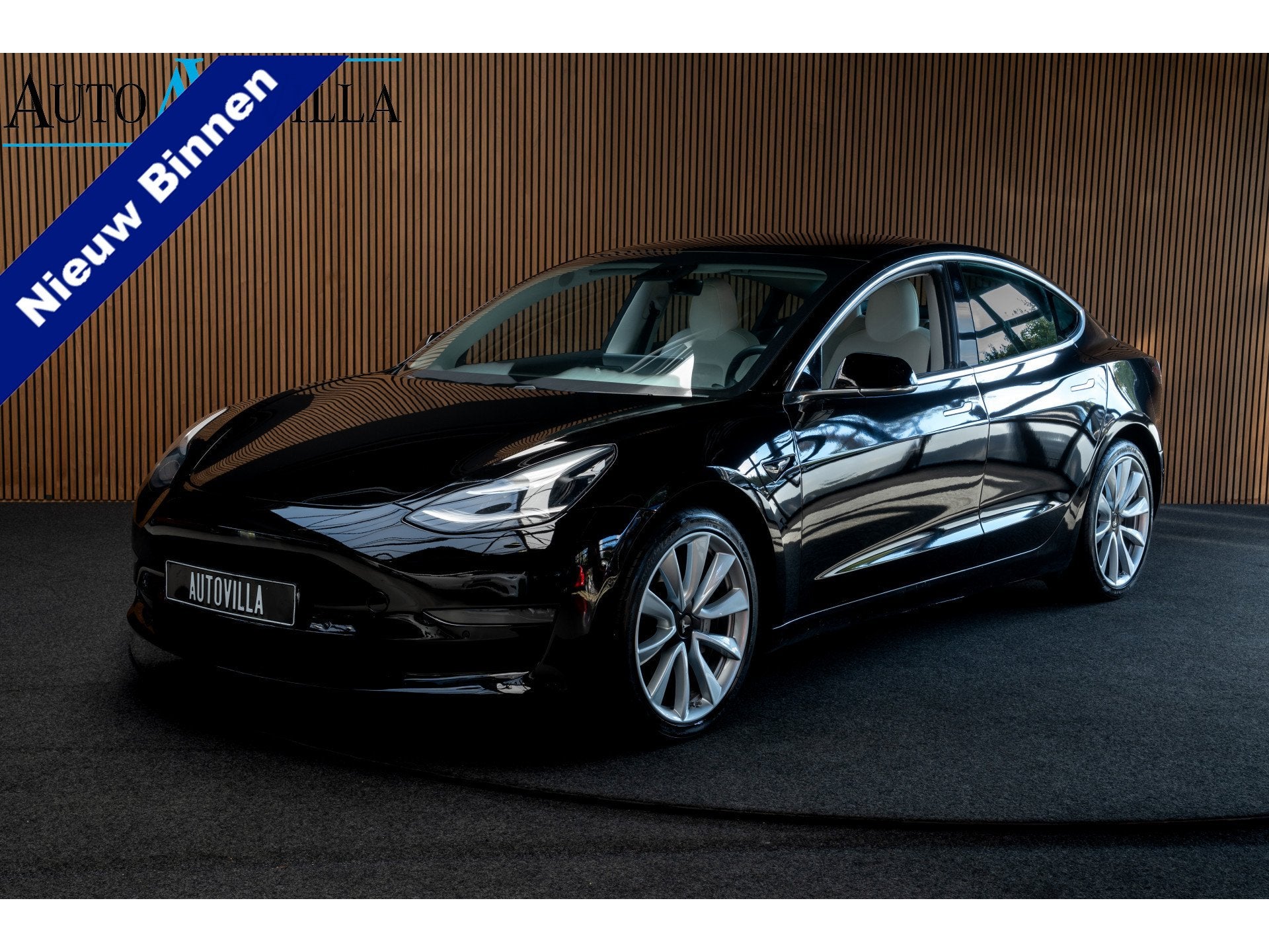 Tesla Model 3 Long Range AWD 75 kWh Panodak Leder 360° ACC