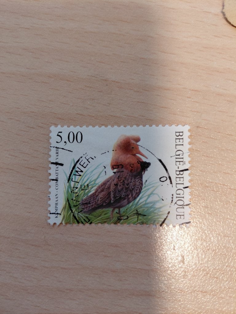 Belgie vogels Buzin kemphaan, Verzenden, Gestempeld