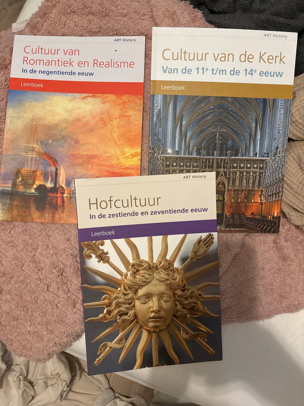 ART History Leerboeken: Cultuur van Romantiek, Kerk, Hofcult, Ophalen of Verzenden, Alpha, Gelezen, HBO