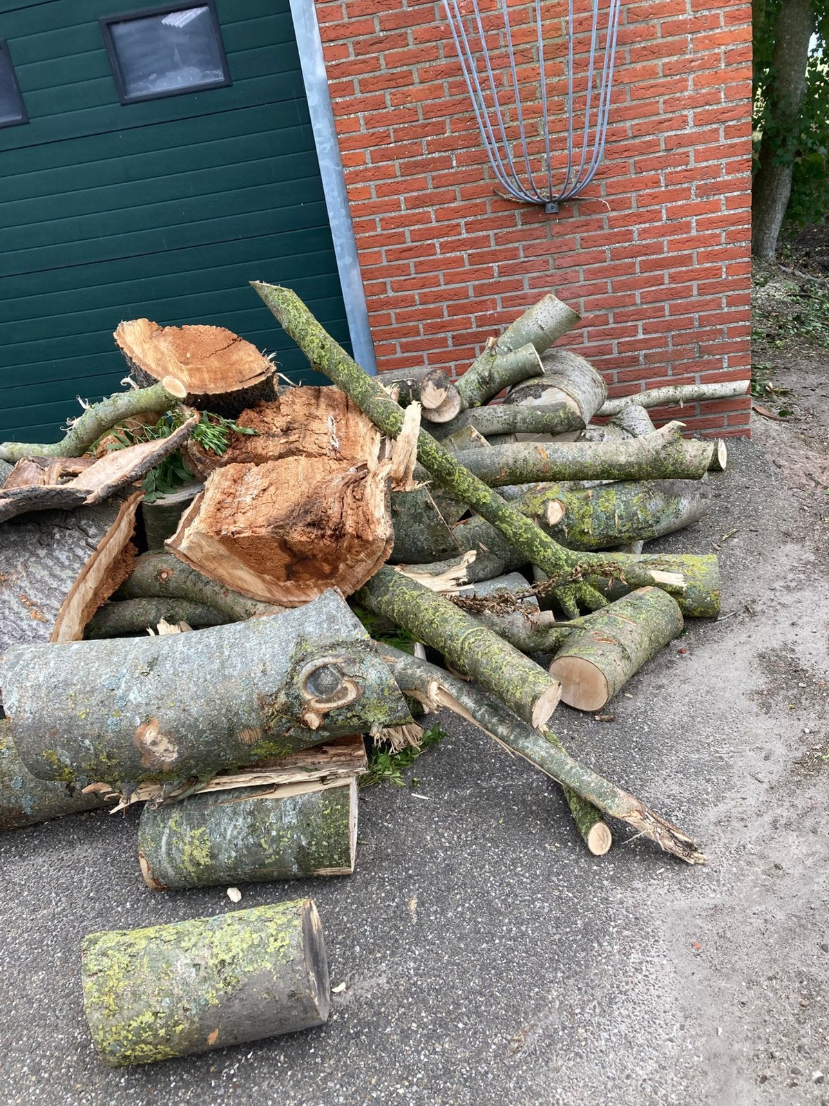 Brandhout essen.Bieden, Minder dan 3 m³, Ophalen of Verzenden