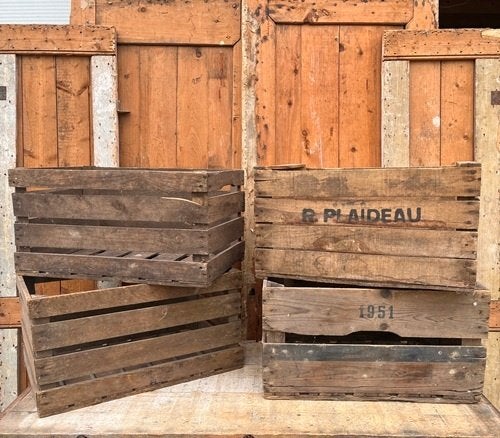 Kist veilingkist hout fruit aardappel PRIJS PER STUK, Ophalen, Minder dan 50 cm, Gebruikt, 50 tot 100 cm