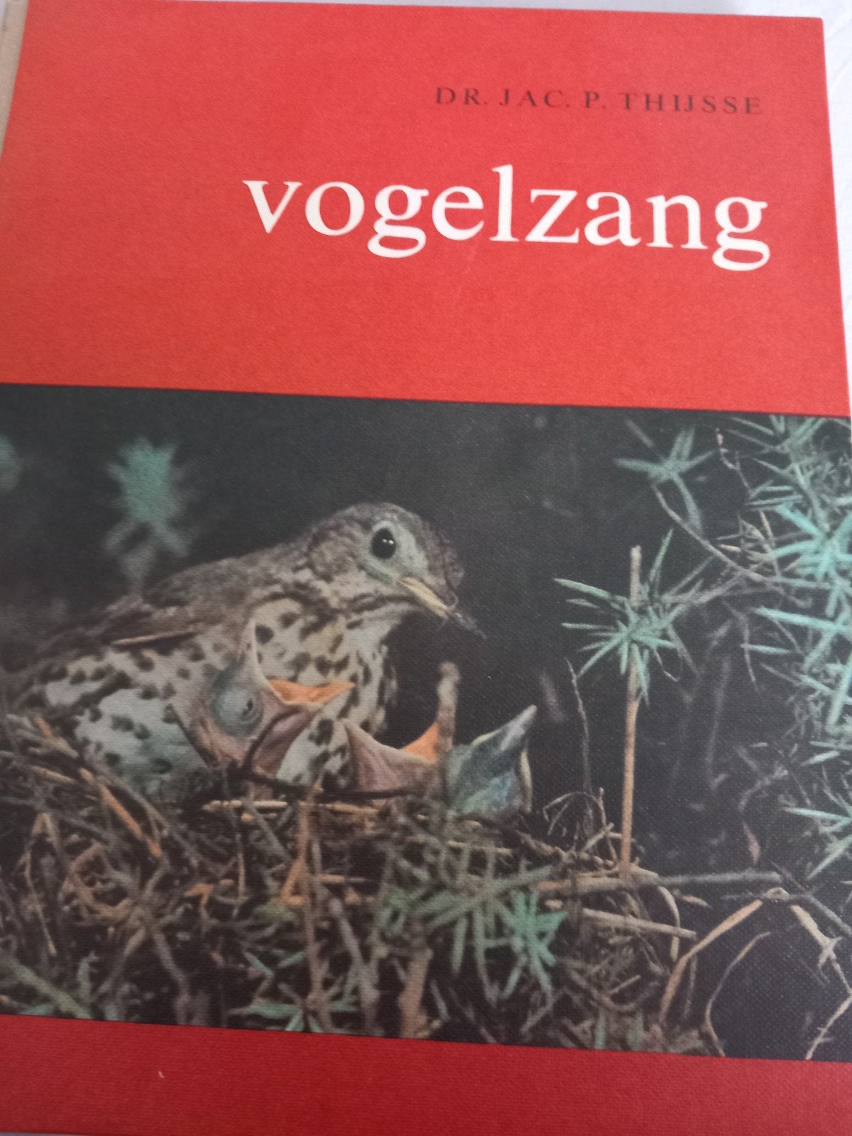 Vogelzang, Ophalen of Verzenden