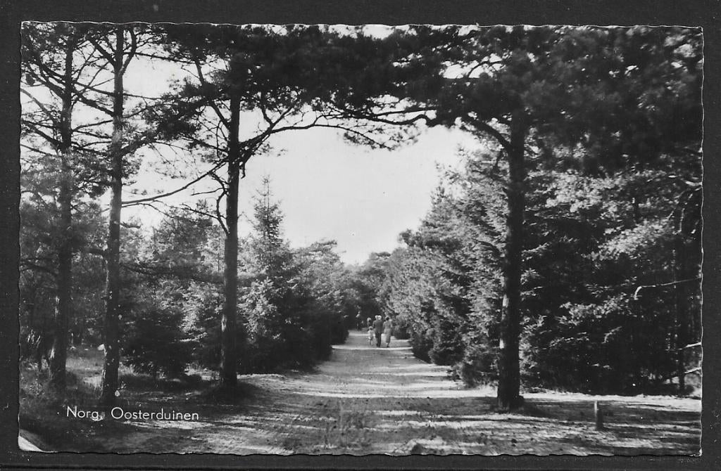138 Norg, Oosterduinen, Ophalen of Verzenden, Voor 1920, Gelopen