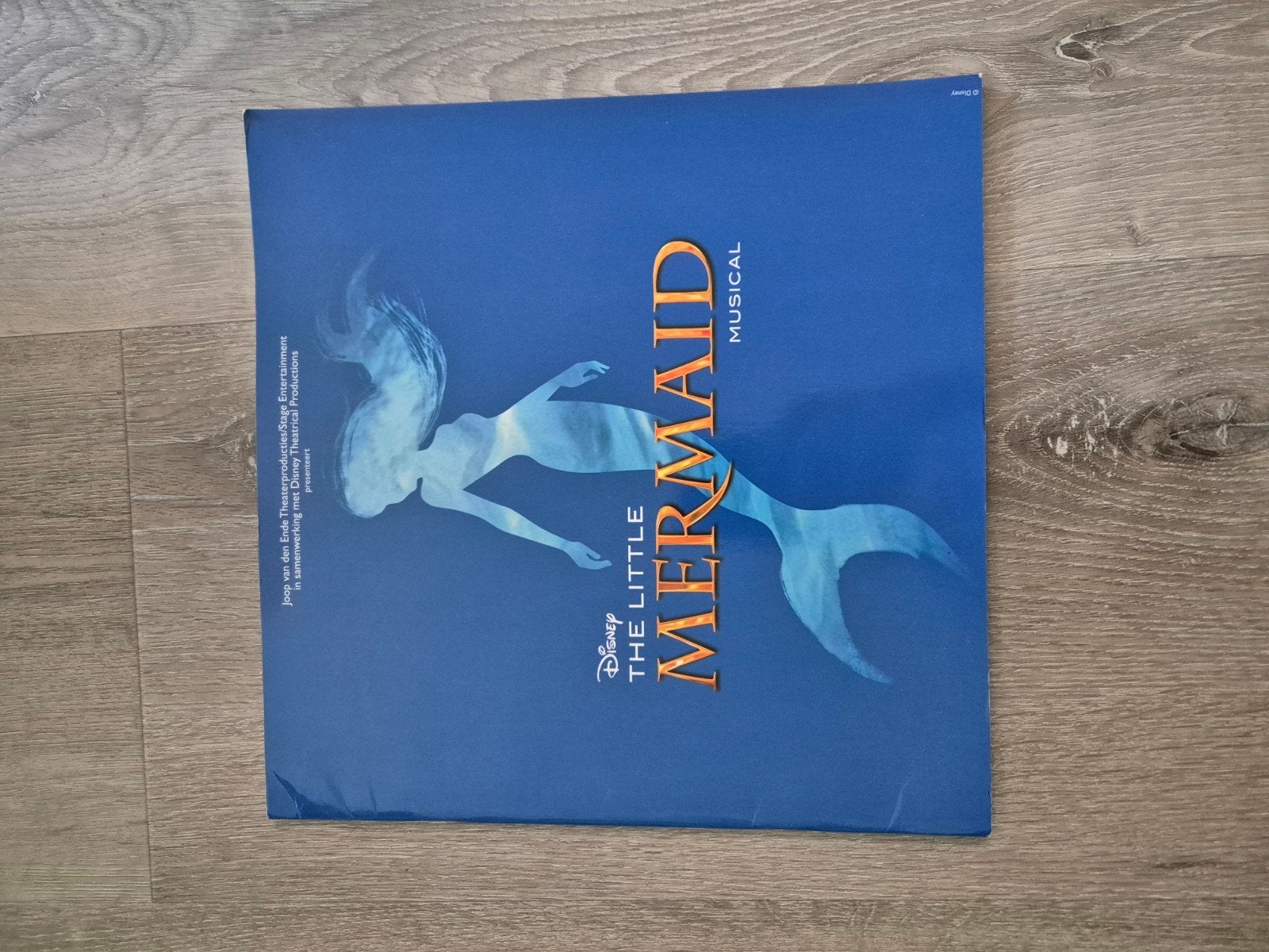 Musical - Theater Little Mermaid fotoboek, Ophalen of Verzenden, Zo goed als nieuw, Overige