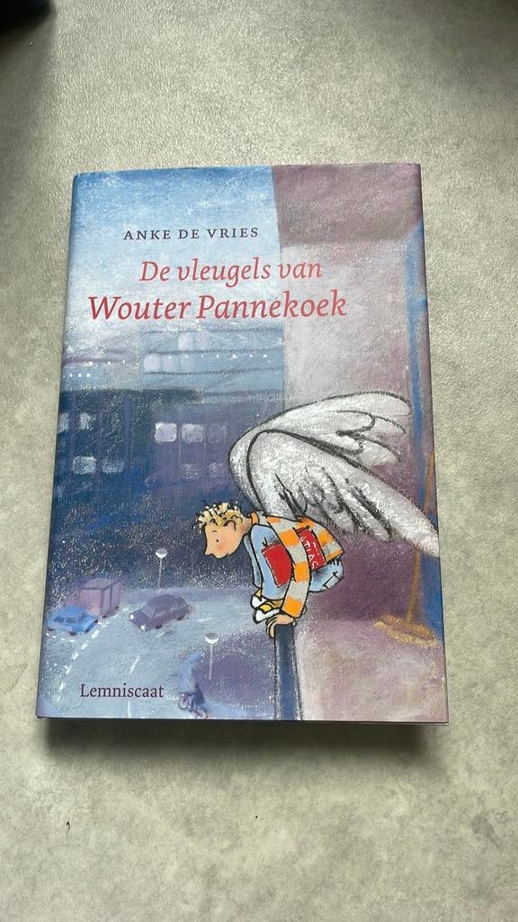Anke de Vries - De vleugels van Wouter Pannekoek, Boeken, Fictie algemeen, Nieuw, Ophalen of Verzenden, Anke de Vries