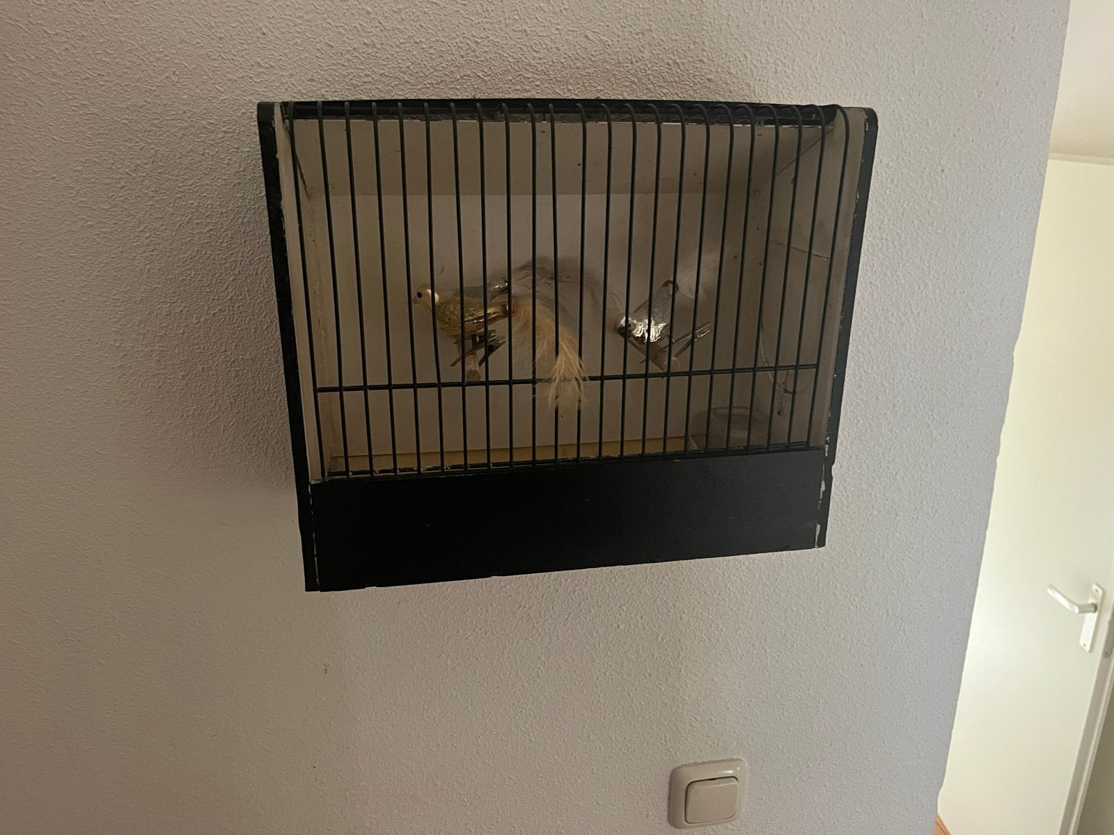 Decoratief vogelkooitje met goud- en zilverkleurige vogels, Ophalen of Verzenden
