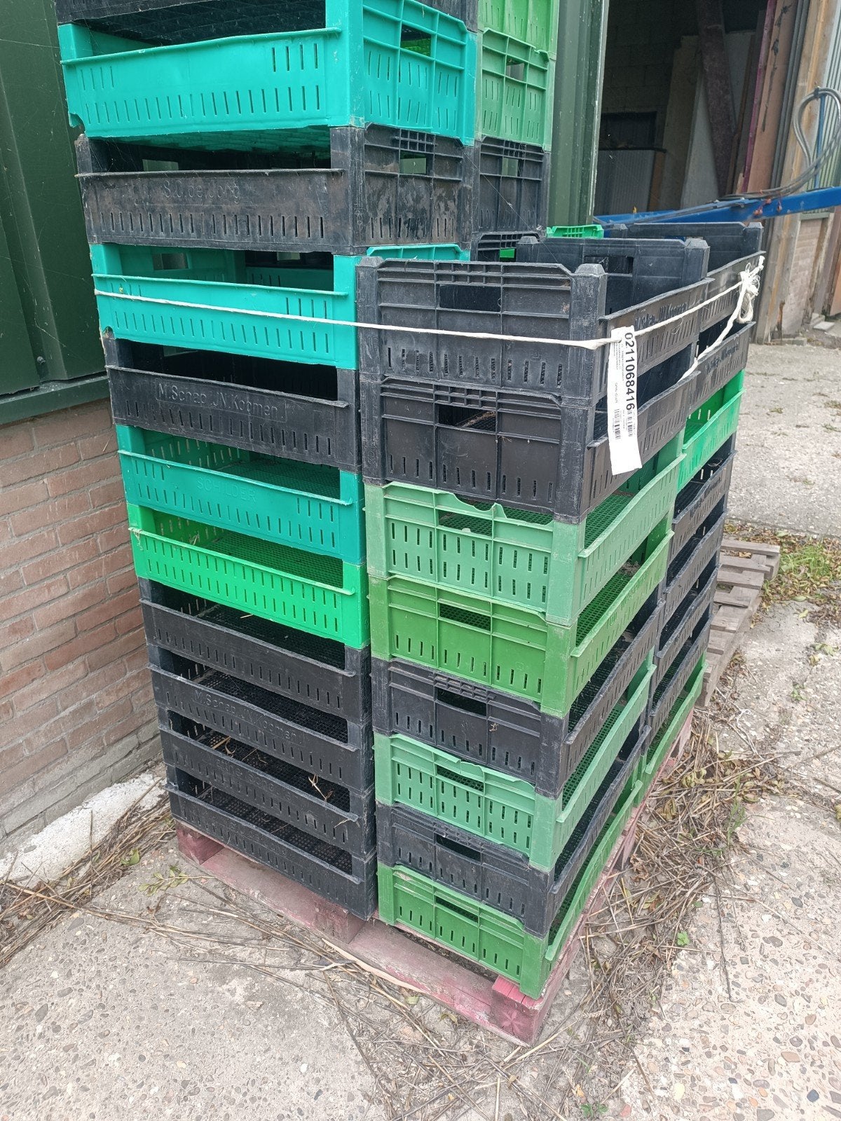 Broeibakken nipla 60cm x 40cm, Ophalen, Gebruikt, Overige typen, Minder dan 35 cm