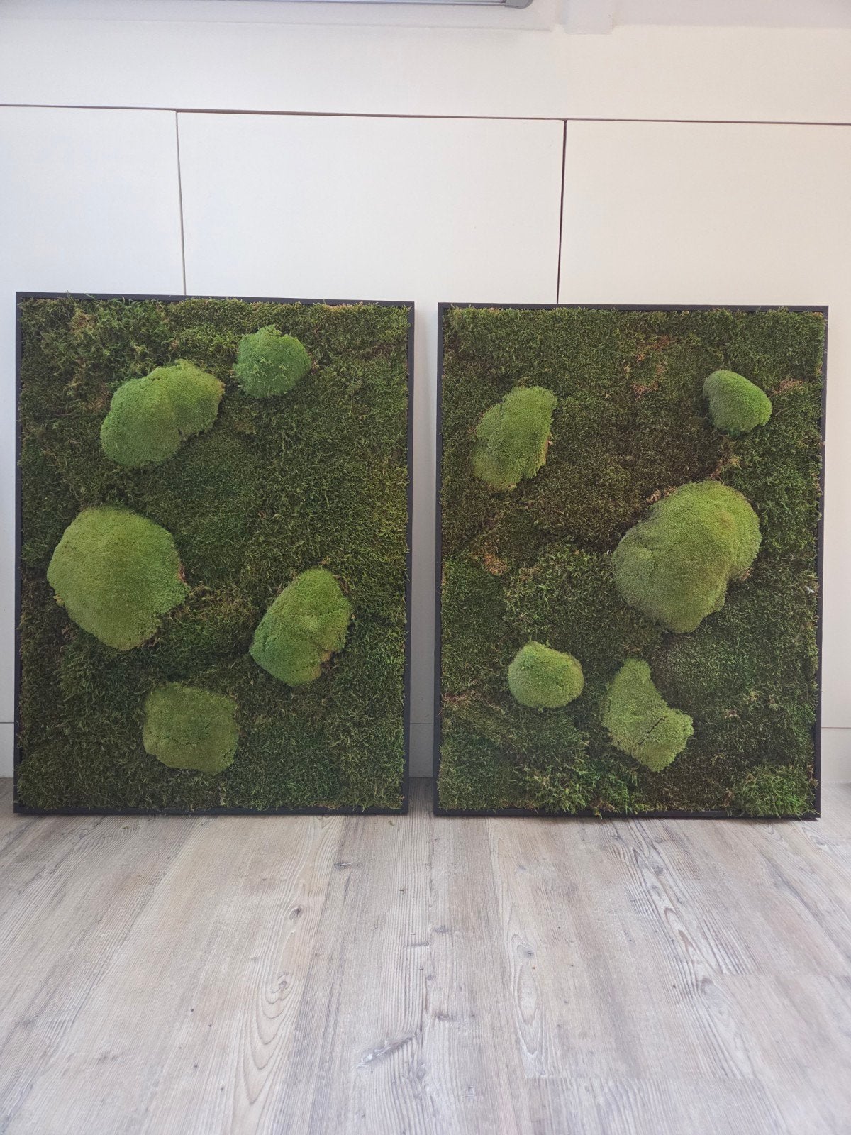 2x onderhoudsvrij mospaneel te koop, Antiek en Kunst, Ophalen