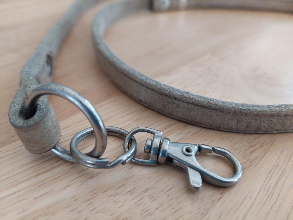 Honden riem verschilllende kleuren, Ophalen of Verzenden, Gebruikt, Hondenriem