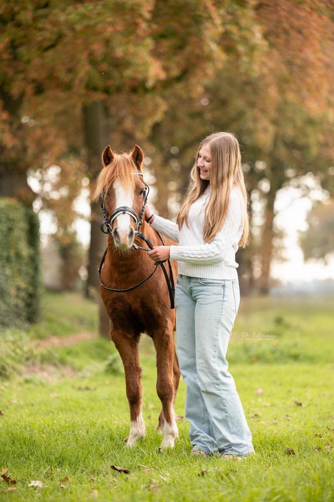 Betrouwbaare ruiter aangeboden/ verzorgpony gezocht, Ophalen of Verzenden