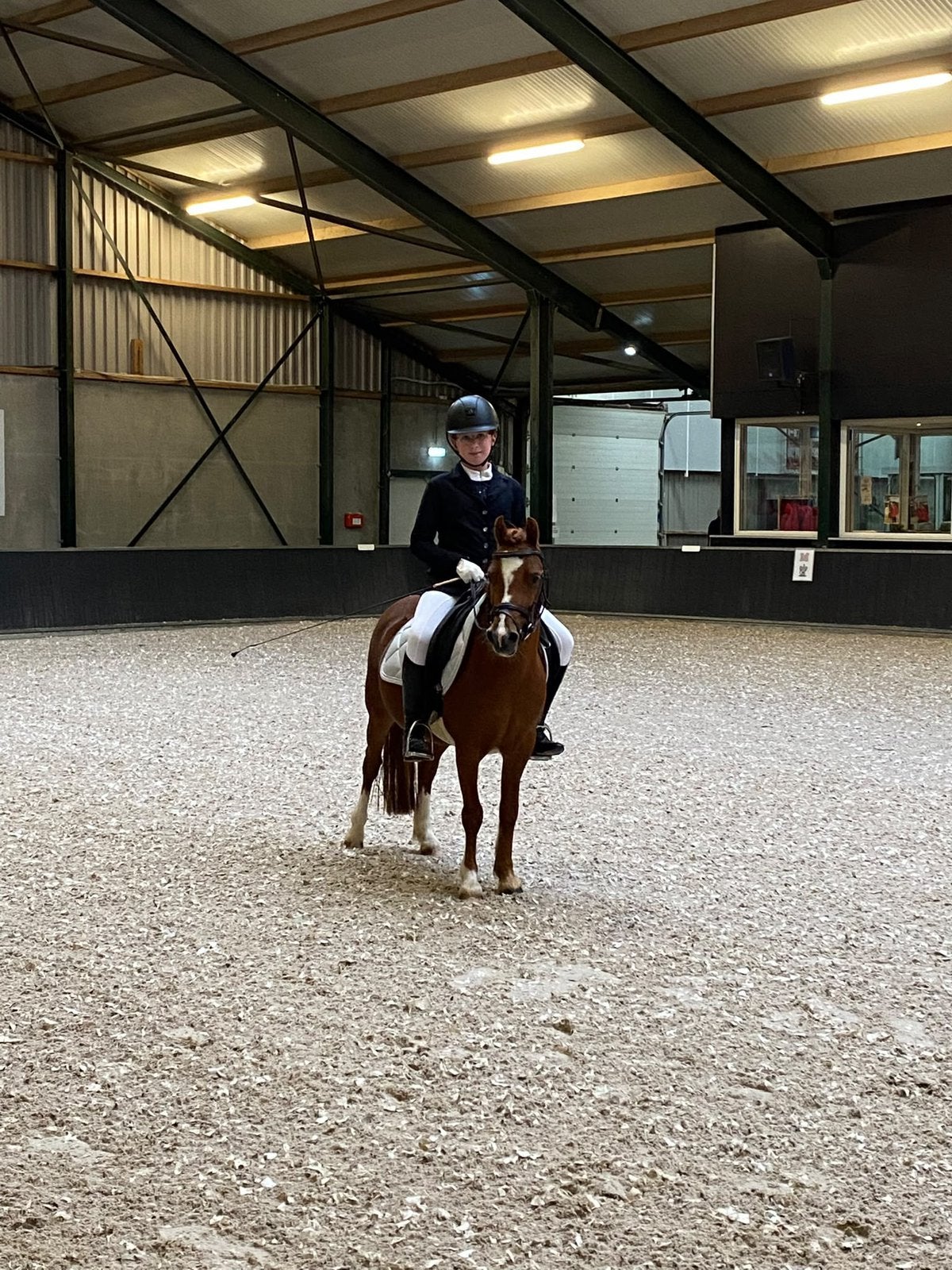 Te koop  A pony bereden, Dieren en Toebehoren, Pony's, Merrie, Met stamboom, A pony (tot 1.17m), L