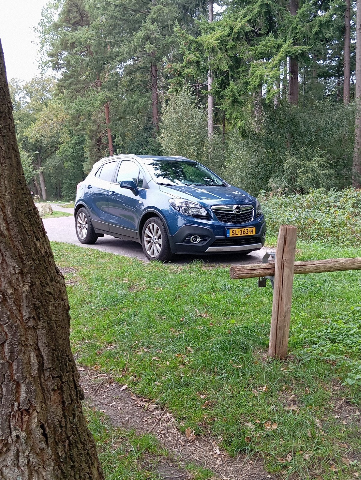 Opel Mokka 1.4 Turbo 16V S&S 103KW H6 2015 Blauw, Voorwielaandrijving, Euro 5, Zwart, 4 cilinders