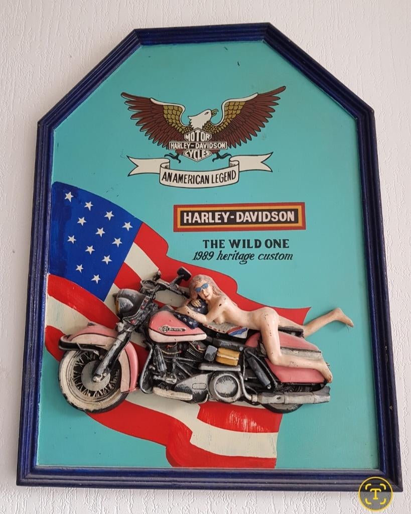 Harley Davidson, Ophalen of Verzenden, Zo goed als nieuw, Overige typen