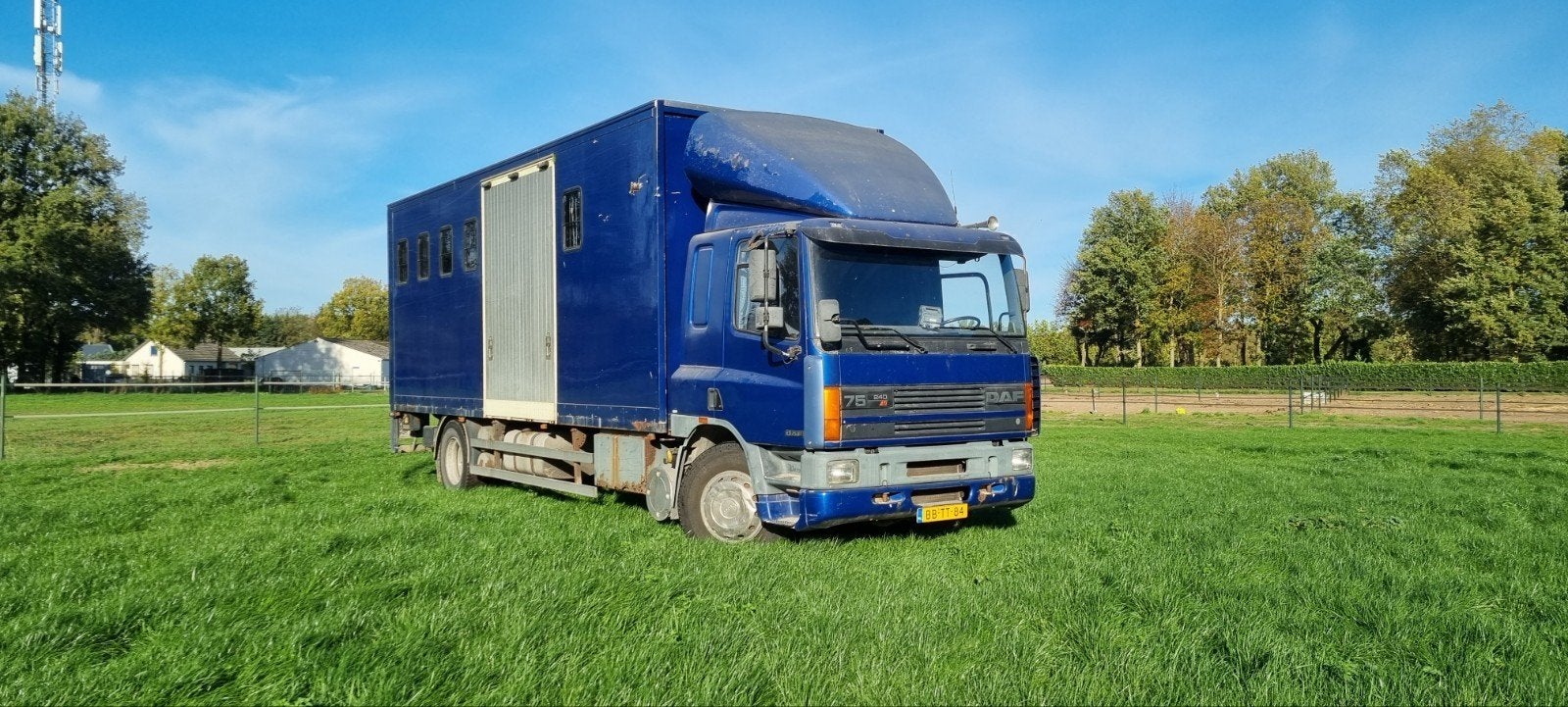 Te koop: DAF 7-paards vrachtwagen, Achterwielaandrijving, Blauw, 245 pk, Bedrijf