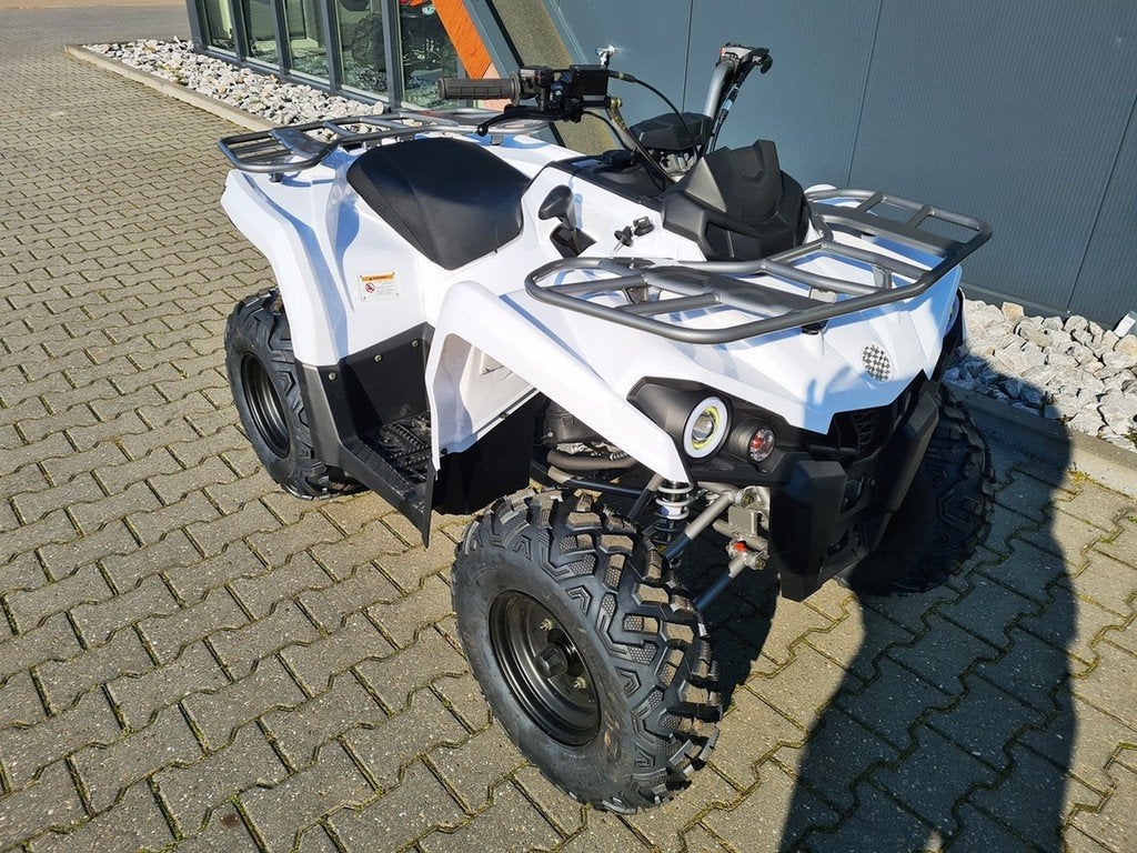 orion 200cc Landbouw / quad ( Grizzly 125 ) zonder kenteken, Motoren