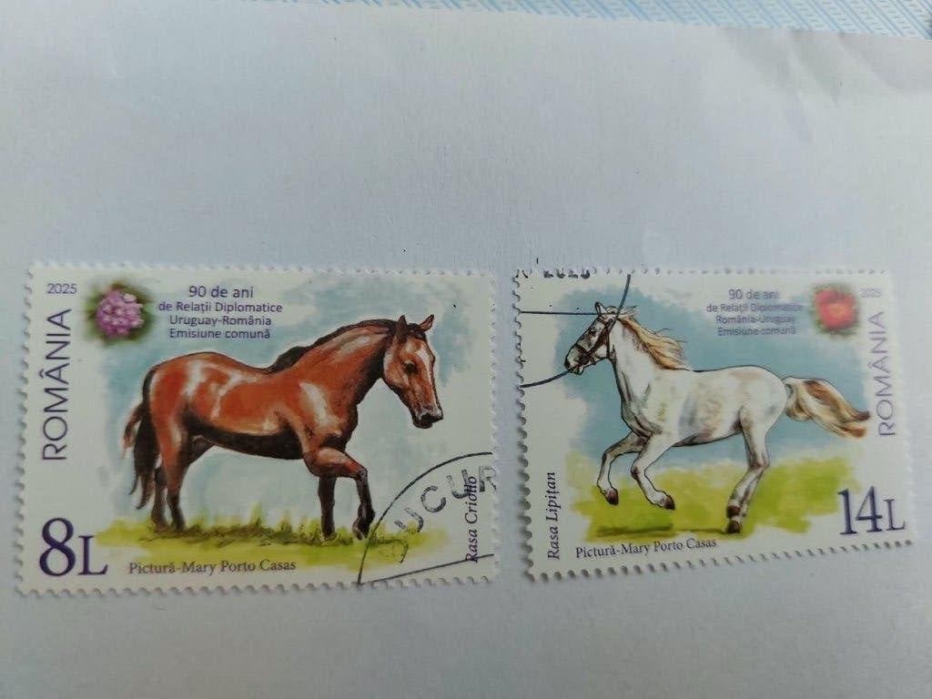 Paarden rassen  Roemenie, Ophalen of Verzenden, Gestempeld, Dier of Natuur
