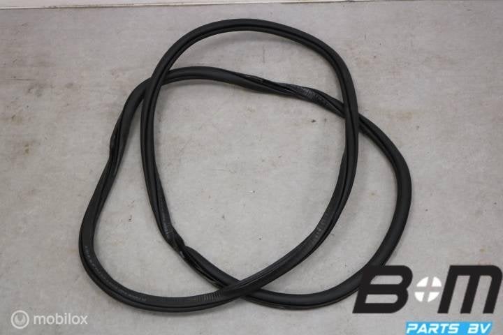 Portierrubber linksachter VW Tiguan 5NA 5NA867913B, Gebruikt