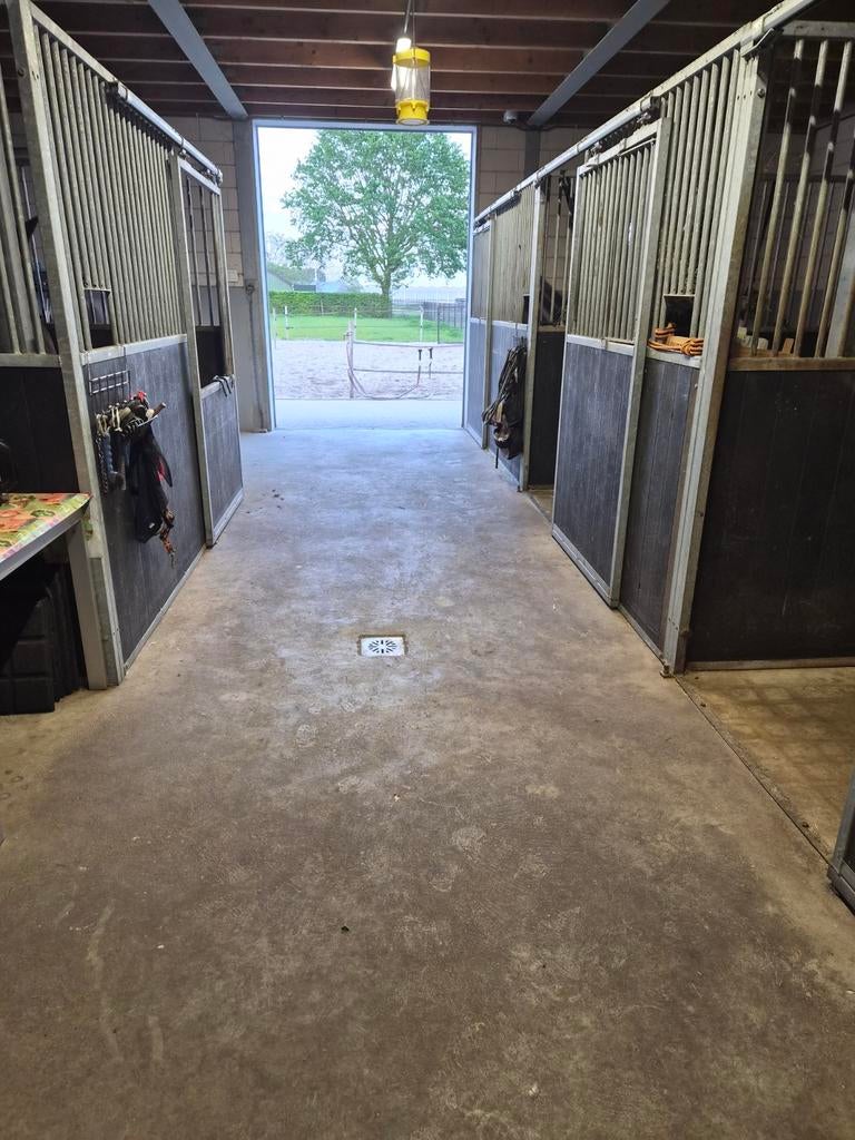 Stalling pony / paard omgeving Breda Etten leur Prinsenbeek, Dieren en Toebehoren, Stalling en Weidegang, Stalling