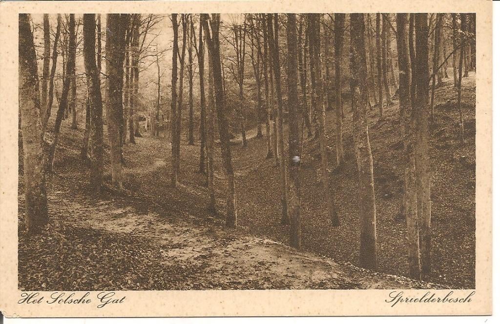 Ermelo het Solsche Gat.   Spielderbosch, Ophalen of Verzenden, 1940 tot 1960, Ongelopen, Gelderland