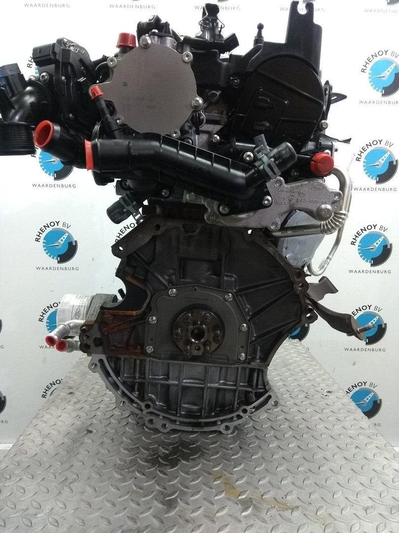 FORD PUMA MOTOR B7JB 2023, Ophalen of Verzenden, Gebruikt, Stiba lid
