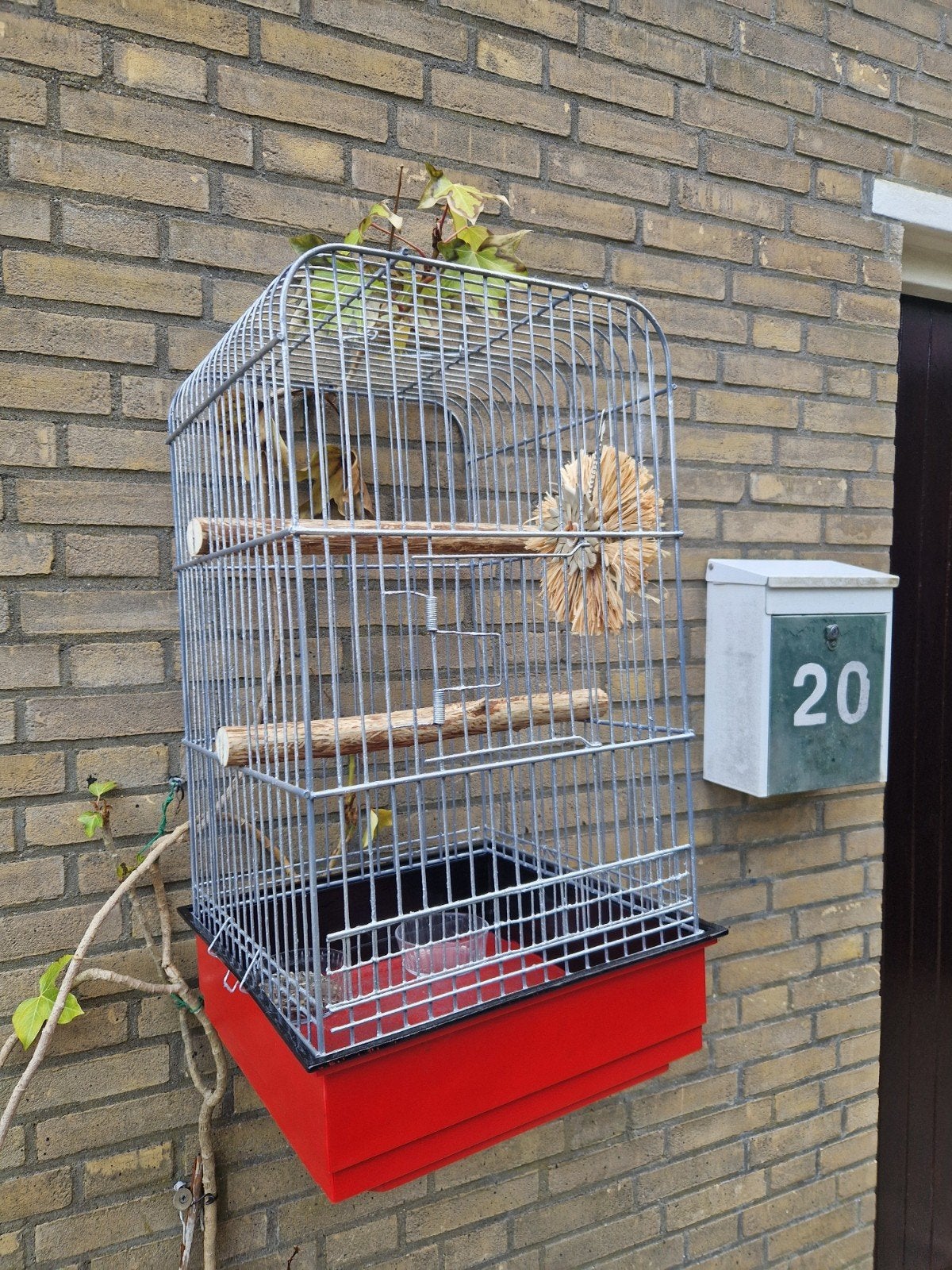 vogelkooi kooi volière valkparkieten grote vogel, Ophalen of Verzenden, Metaal, Vogelkooi