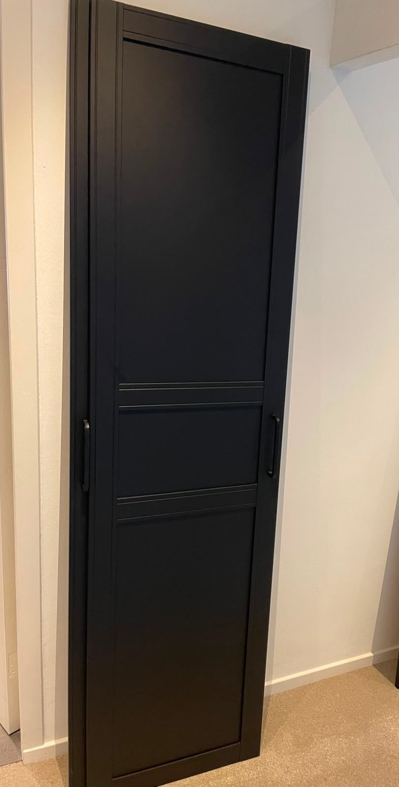 Twee deuren voor PAX kast IKEA, Ophalen, 50 tot 100 cm, Zo goed als nieuw, 150 tot 200 cm