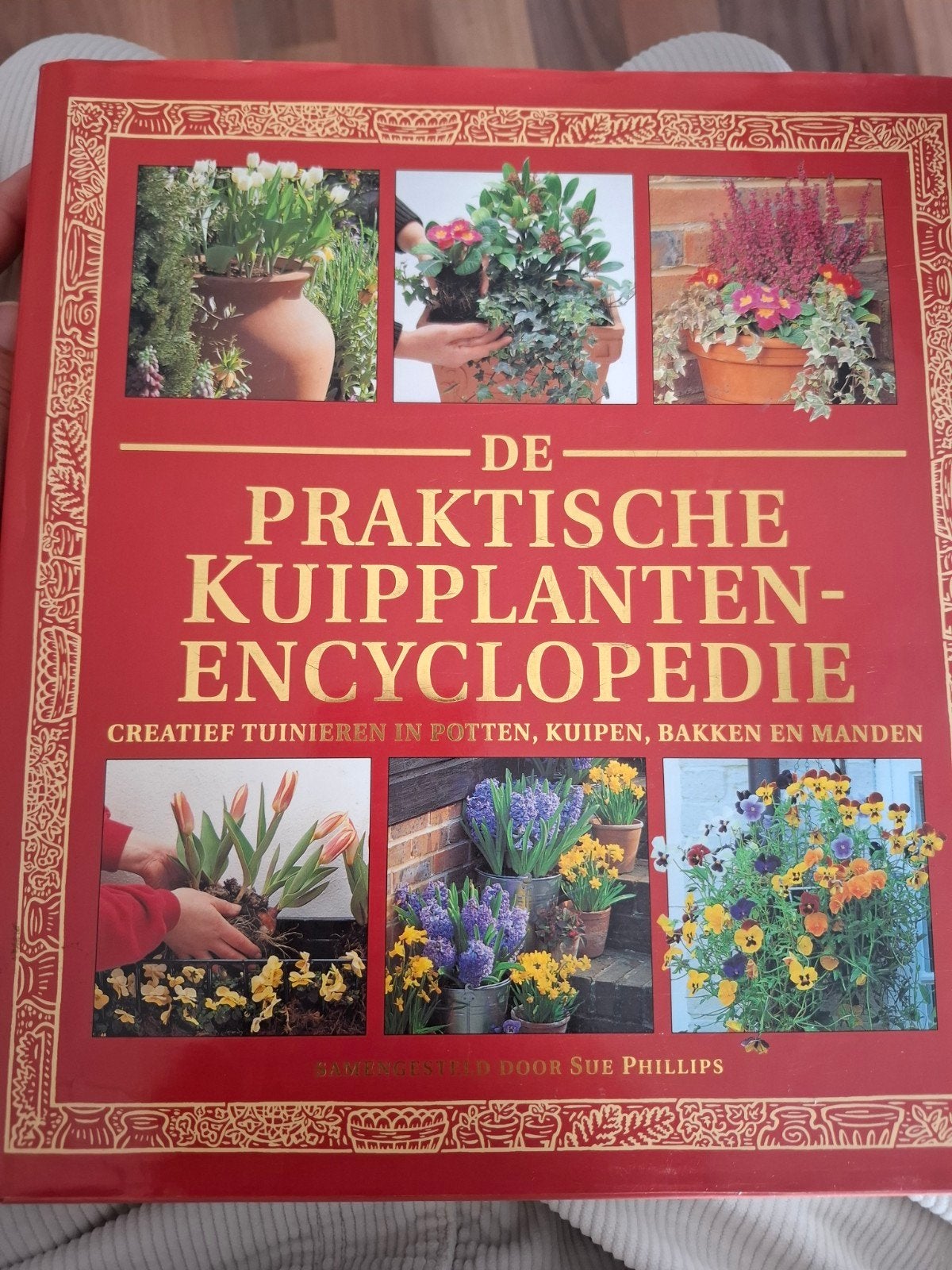 Sabrina Philips - De praktische kuipplanten encyclopedie, Boeken, Bloemen, Planten en Bomen, Ophalen of Verzenden, Zo goed als nieuw