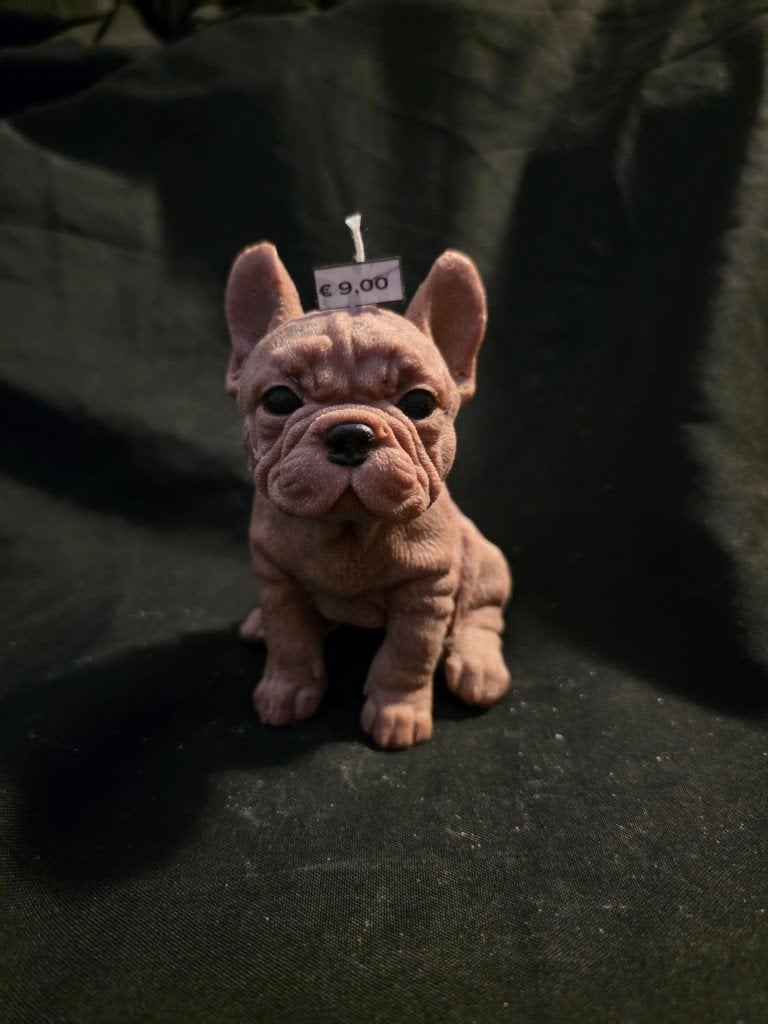 Sierkaars Franse Bulldog, Meerkleurig, 13 cm, Ophalen of Verzenden, Kaars