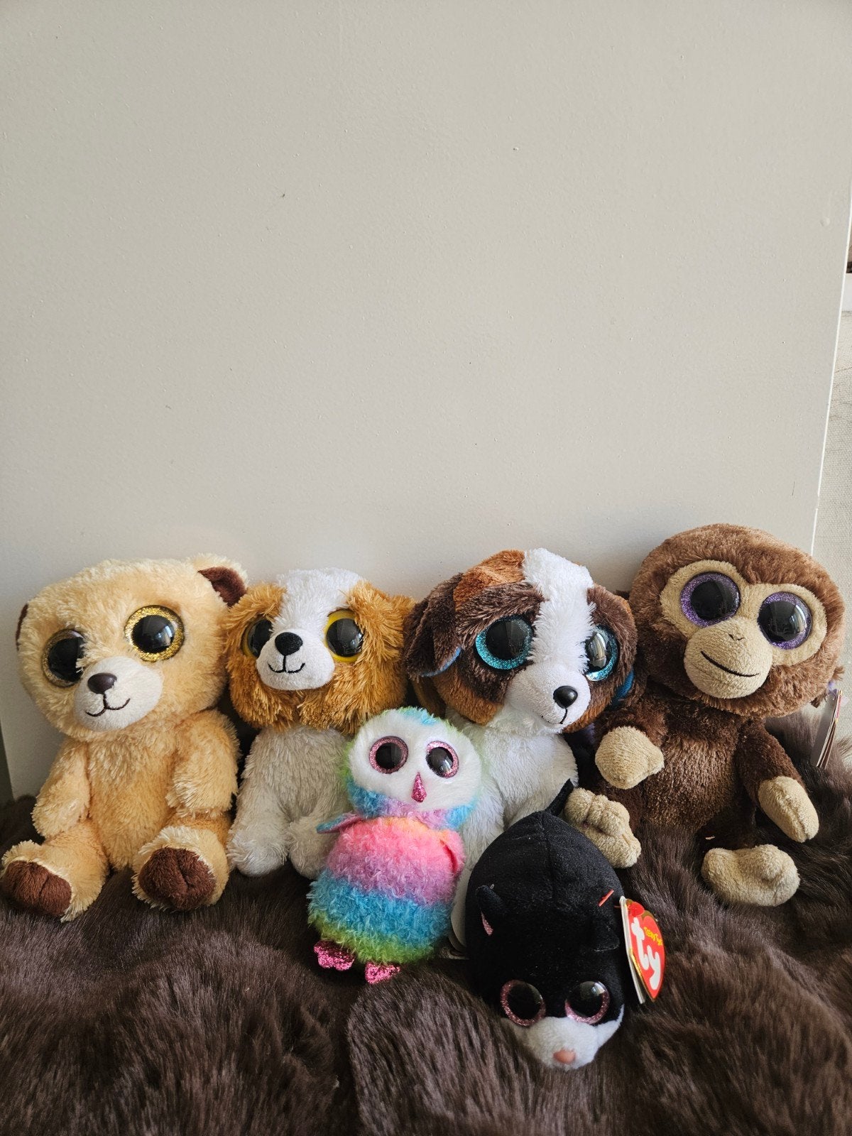 Leuke Ty Beanie Boo's knuffels - set van 6, Gebruikt, Met label, Klein (minder dan 20 cm), Beige