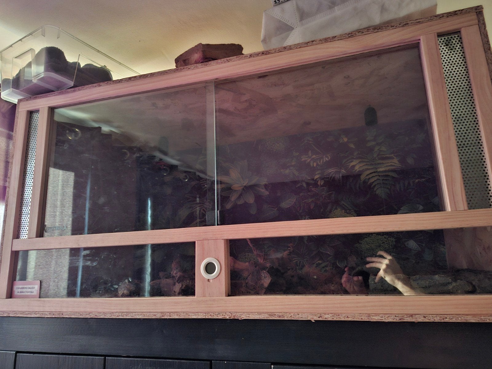 Osb terrarium 120x60x62, Dieren en Toebehoren, Ophalen, 110 cm of meer, 60 tot 90 cm, Zo goed als nieuw