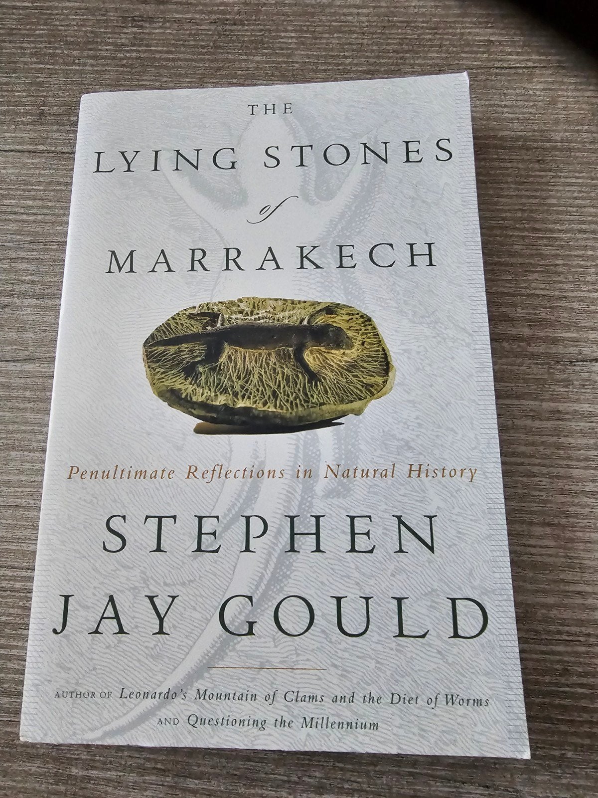 The Lying Stones of Marrakech - Stephen Jay Gould, Ophalen of Verzenden, Gelezen, Stephen Jay Gould
