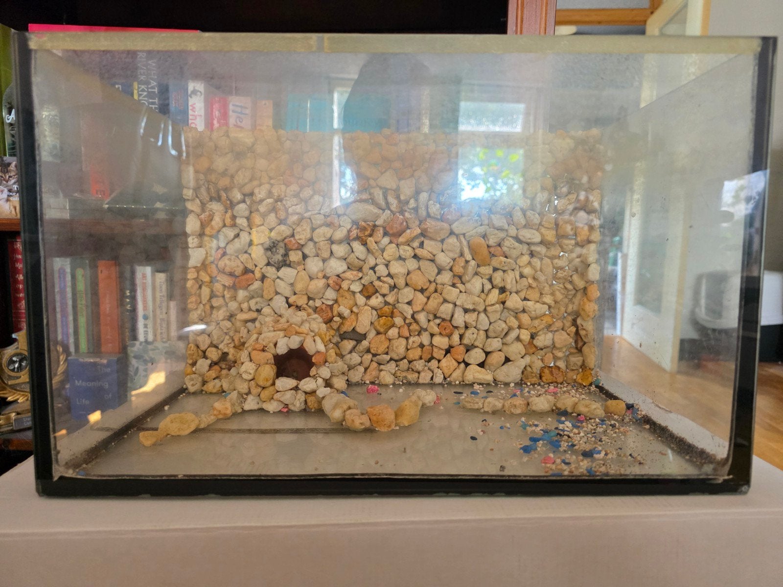 broedaquarium met restant bodembedekking, Ophalen, Gebruikt, Leeg aquarium, Overige merken
