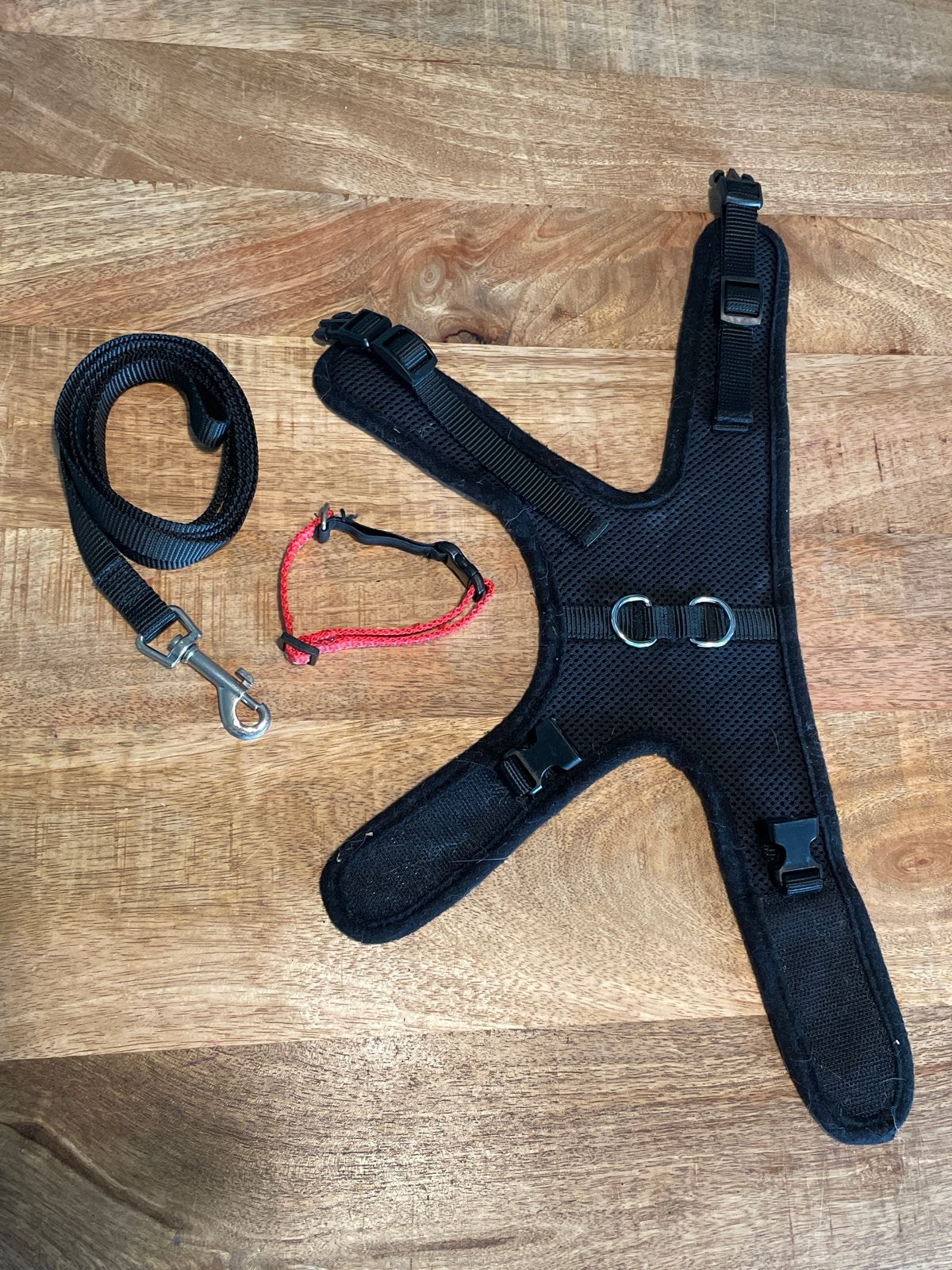 Complete set: tuigje, halsbandje, looplijn, Dieren en Toebehoren, Ophalen of Verzenden, Zo goed als nieuw