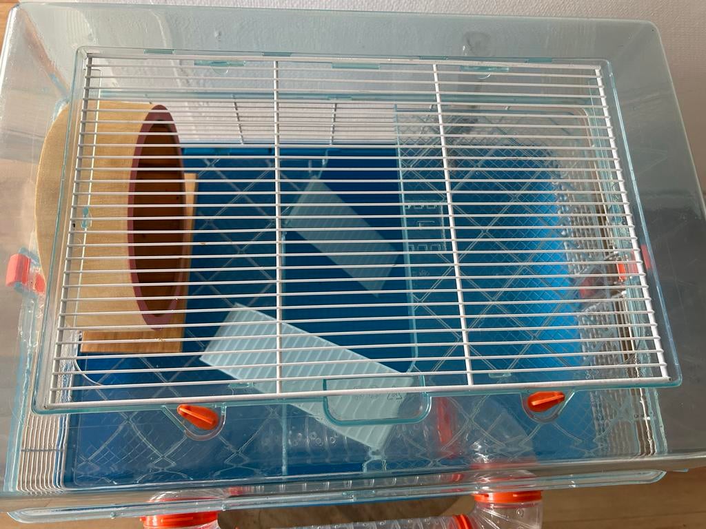 (Dwerg) Hamsterkooi, Kooi, Minder dan 75 cm, Hamster, Ophalen