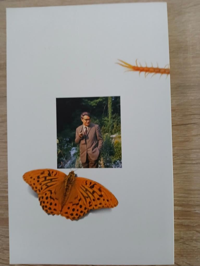Erik of het klein insectenboek - Godfried Bomans, Boeken, Ophalen of Verzenden, Nieuw