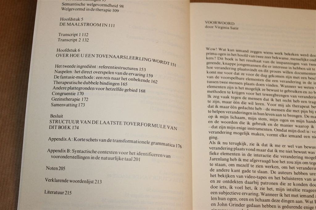 Structuur van de Magie — Een Boek over Taal en Therapie, Boeken, Ophalen of Verzenden, Gelezen, Overige onderwerpen, Achtergrond en Informatie