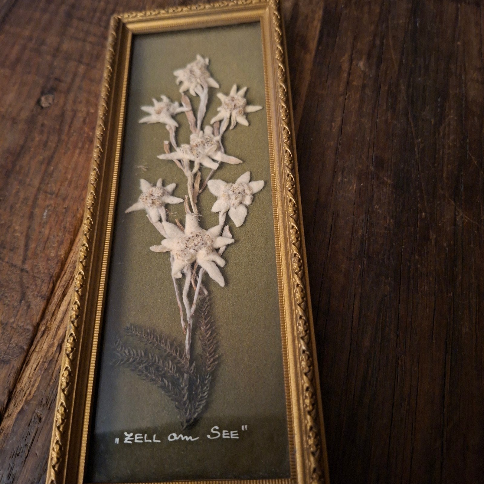 Edelweiss achter Glas Vintage uit de Jaren 50 7 bloemen 21x8, Ophalen of Verzenden