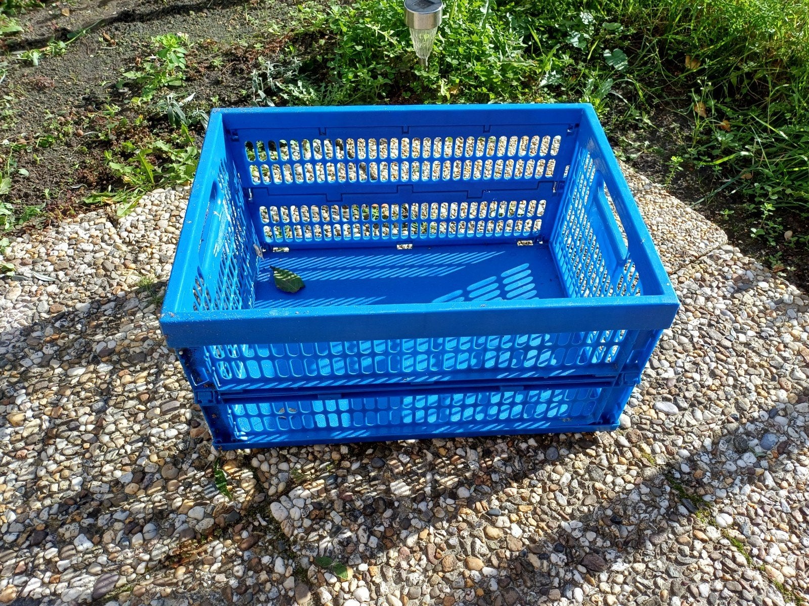 Opvouwbare blauwe krat - Handig en ruimtebesparend, Ophalen, Gebruikt, 40 tot 60 cm, Opvouwbaar