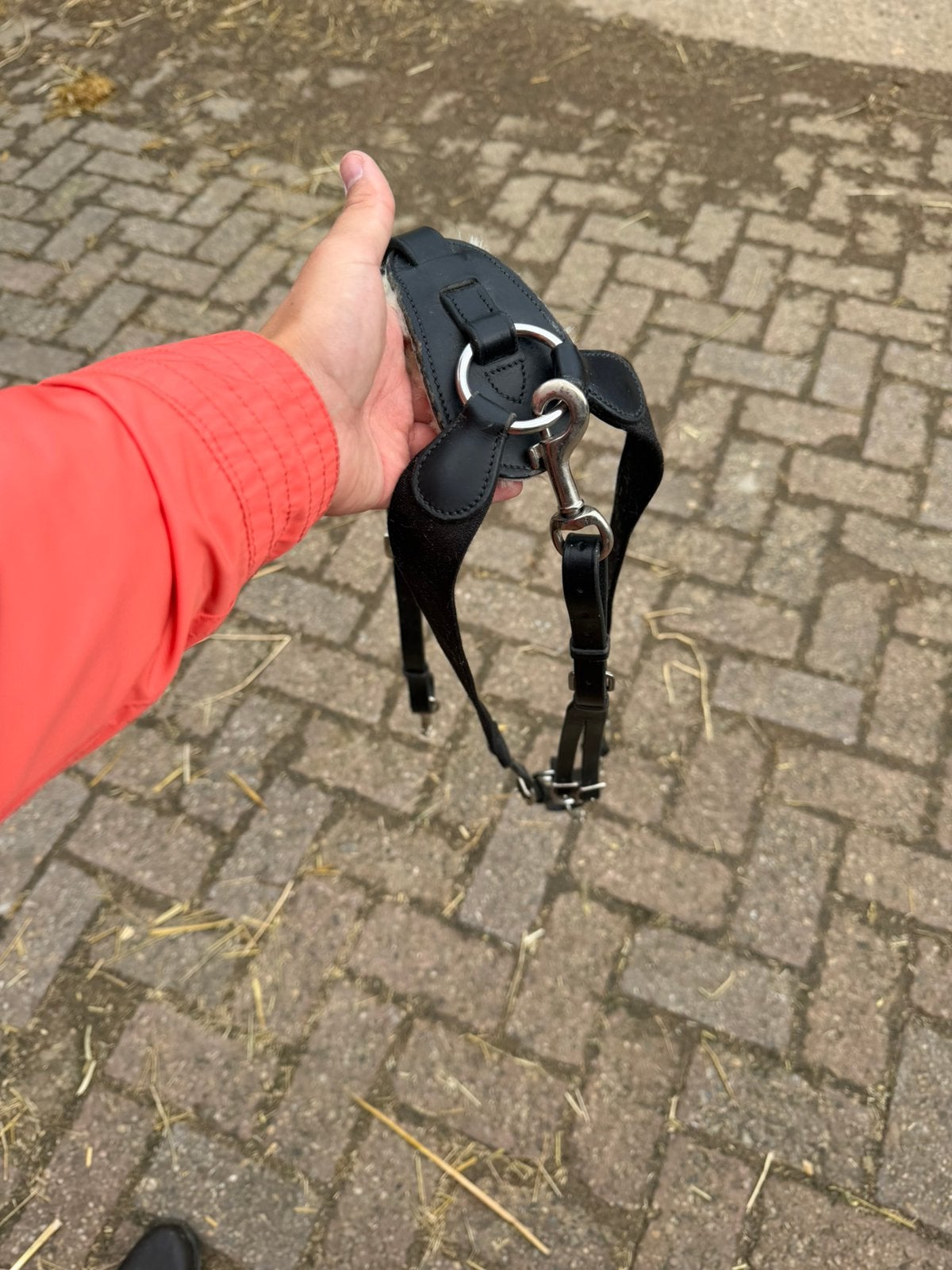 Borsttuig met bont, Springen, Ophalen of Verzenden, Borsttuig, Overige merken
