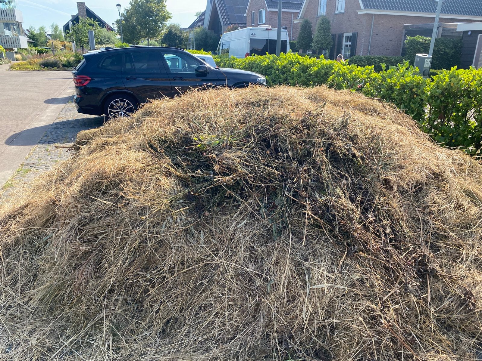 Gratis af te halen! Vers biologisch hooi voor dieren, Ophalen, Gebruikt, 20 m² of meer, Gras