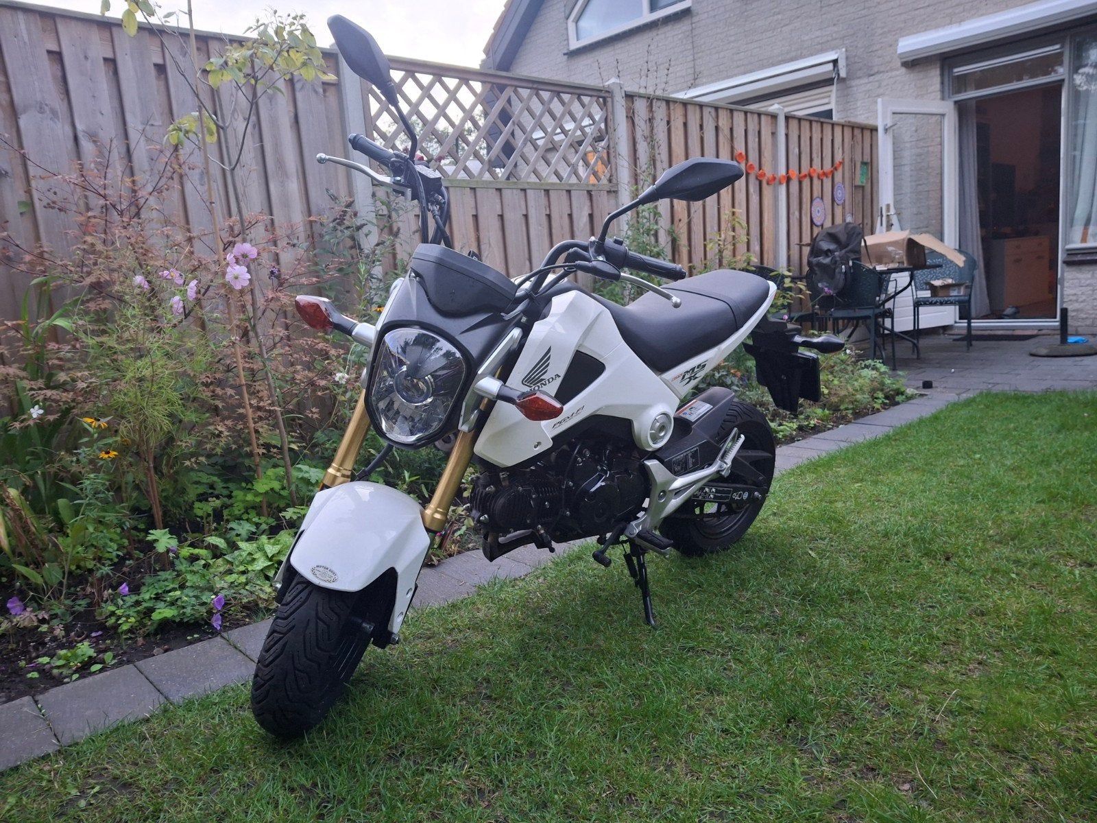 Honda MSX 125 / Grom 2014 zeer nette staat, Nieuw, Particulier, 125 cc, 11 kW of minder