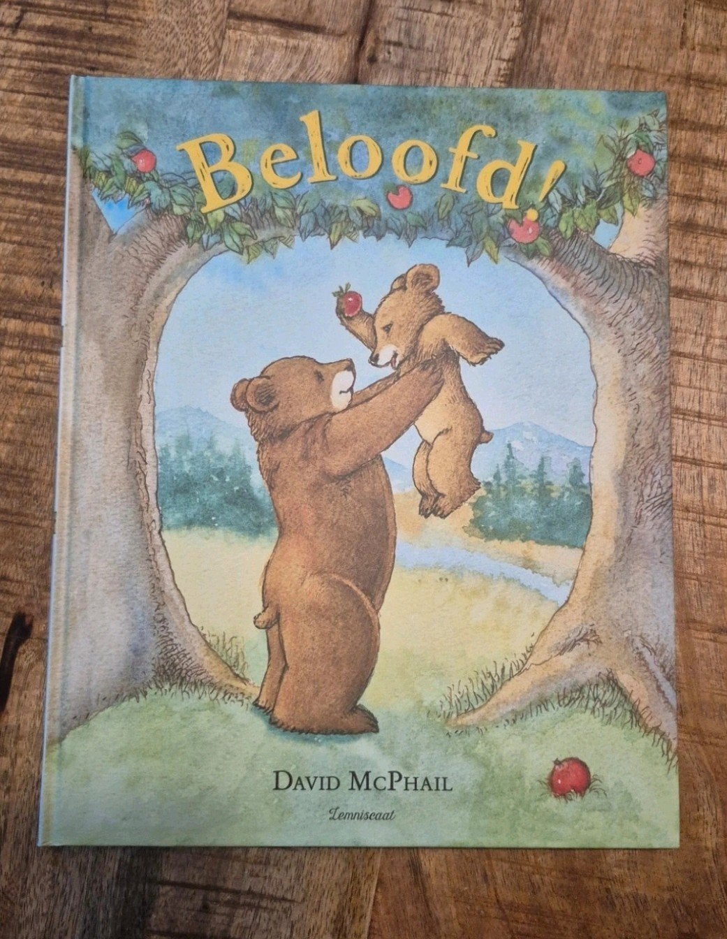 boek, beloofd, Ophalen of Verzenden, Zo goed als nieuw, David McPhail, Prentenboek