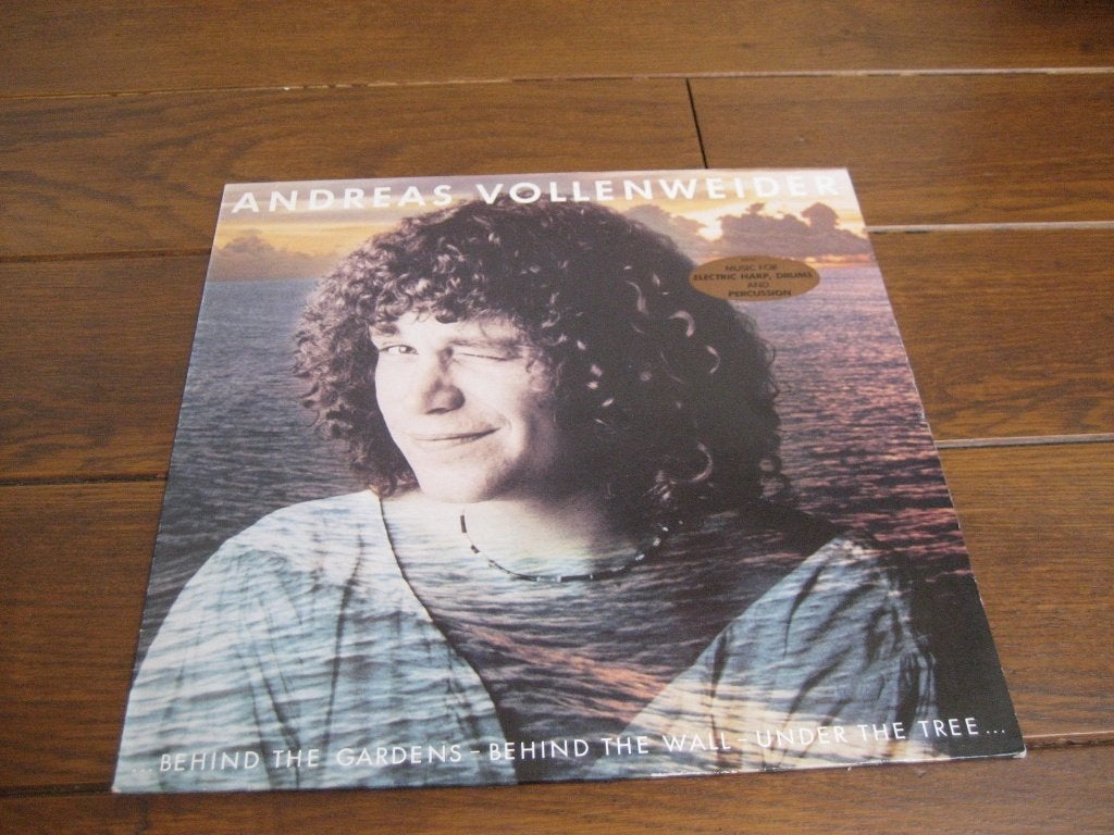 Andreas vollenweider lps 2x, Ophalen of Verzenden, Zo goed als nieuw, 12 inch, LP