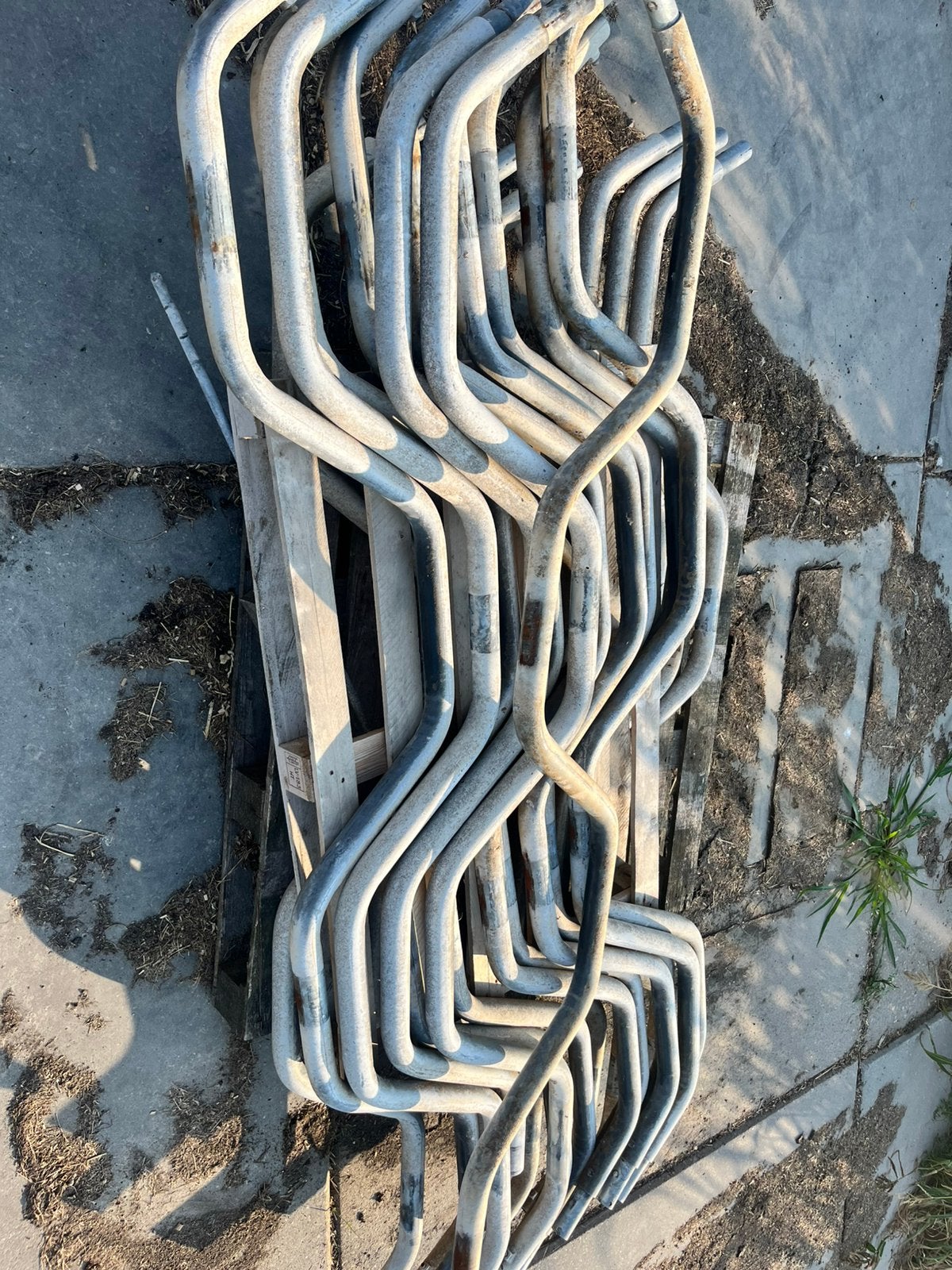 Partij golvende schoftboombuizen