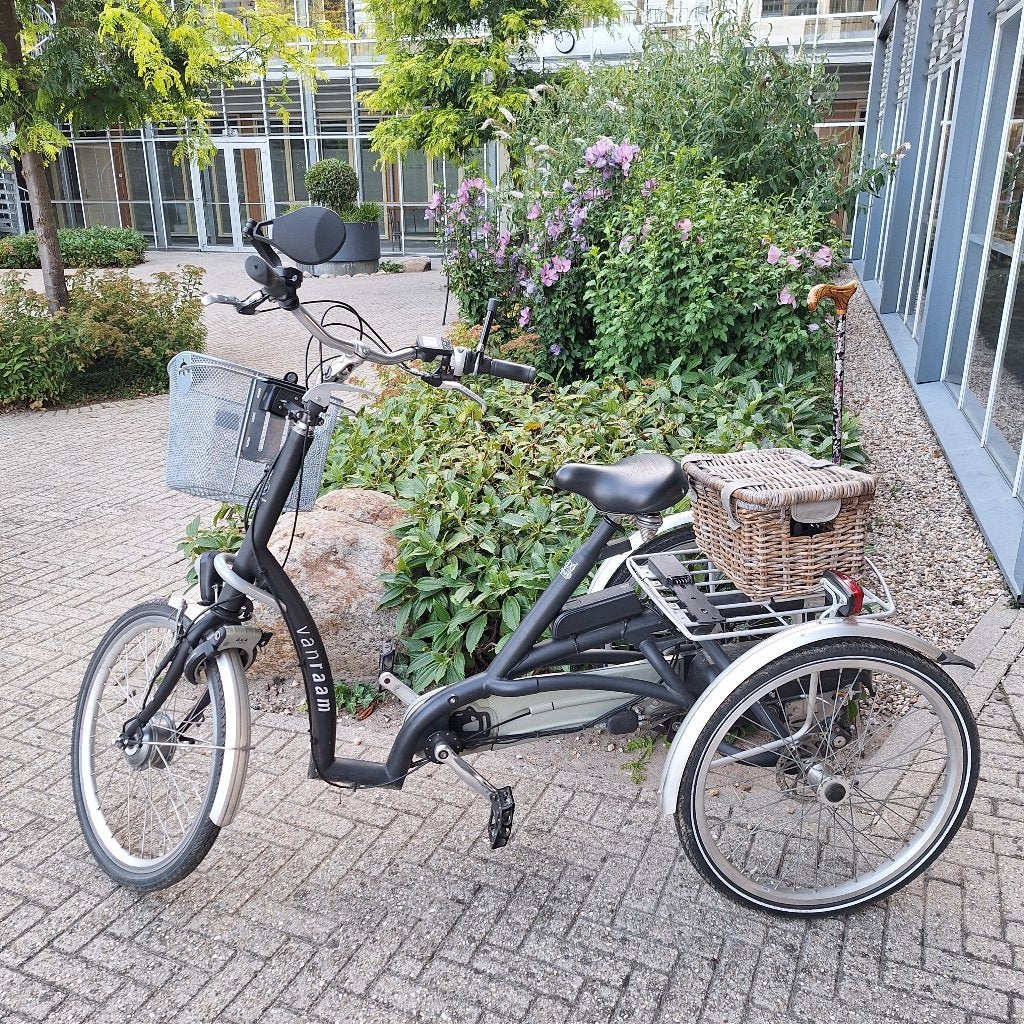 Driewieler Van Raam Maxi Comfort elektrisch, Ophalen, Gebruikt, Van Raam