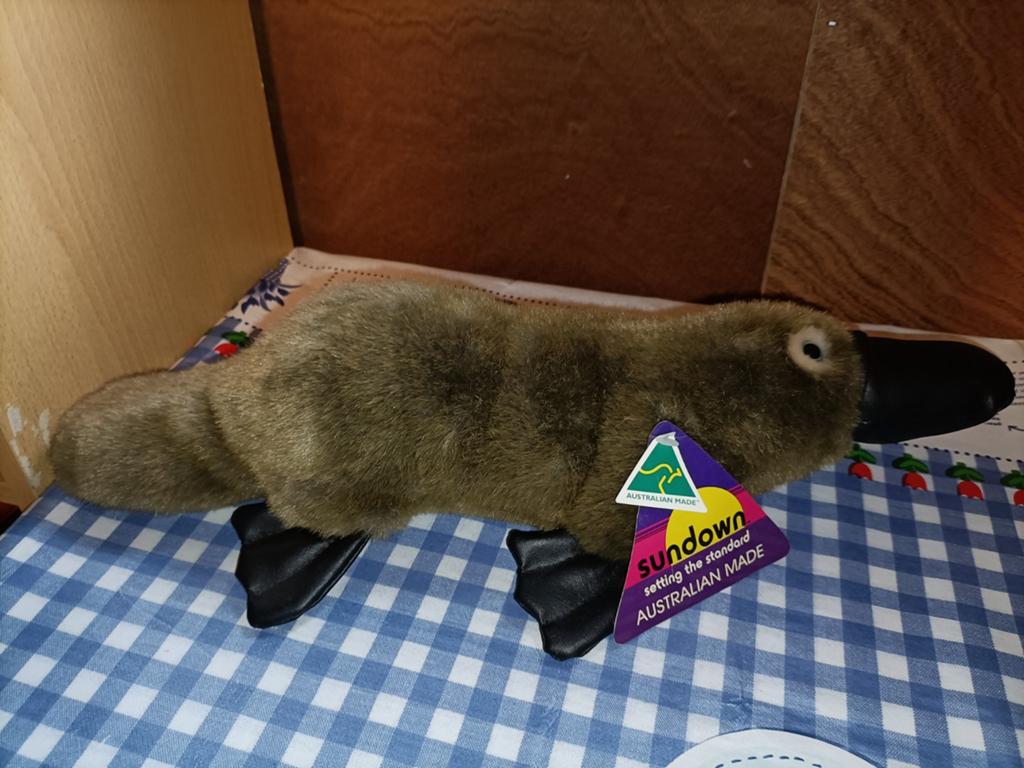 Vogelbekdier knuffel uit Australië Sundown met kaartje 44 cm, Ophalen of Verzenden, Zo goed als nieuw, Overige typen