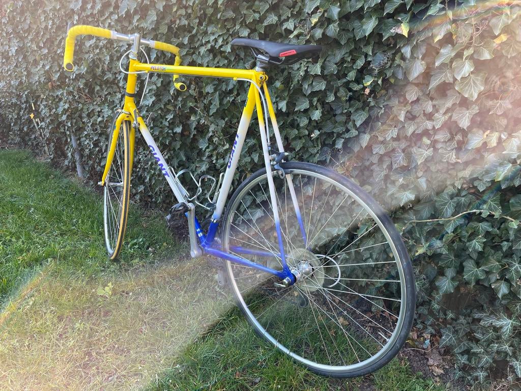 Vintage Giant Peloton racefiets met Biopace, 28 inch, Gebruikt, Heren, 53 tot 57 cm